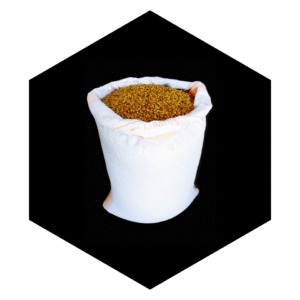 PURE AND SORTED PLAIN YELLOW BEANS WHOLESALE PRICE